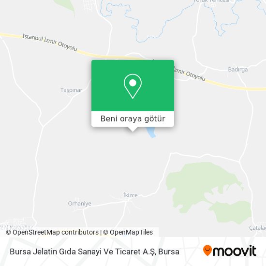 Bursa Jelatin Gıda Sanayi Ve Ticaret A.Ş harita