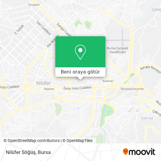 Nilüfer Söğüş harita