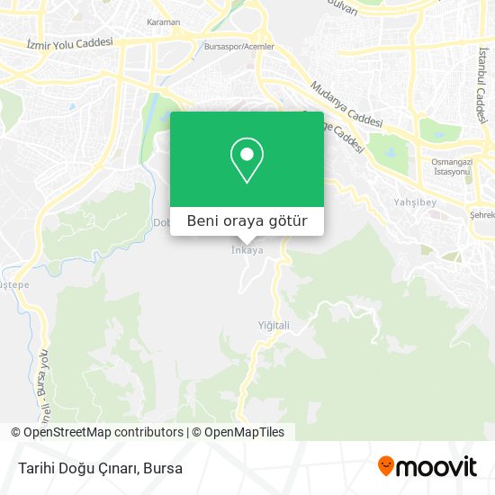 Tarihi Doğu Çınarı harita
