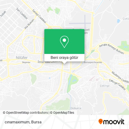 cınamaxımum harita