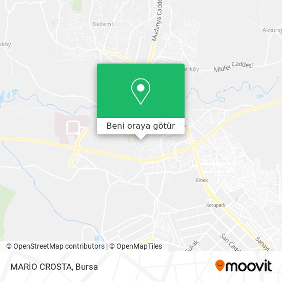 MARİO CROSTA harita