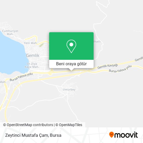 Zeytinci Mustafa Çam harita