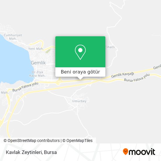 Kavlak Zeytinleri harita