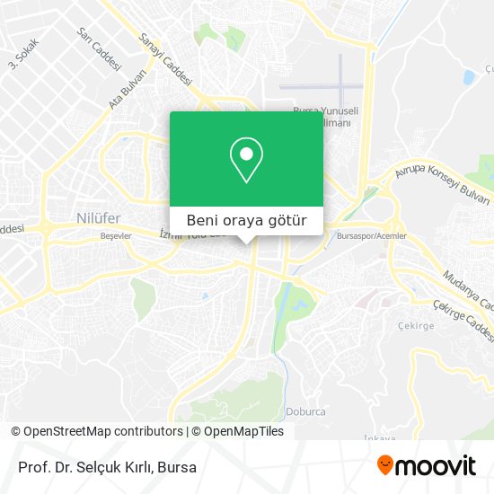 Prof. Dr. Selçuk Kırlı harita