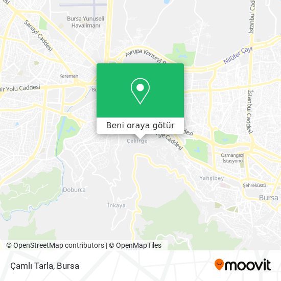 Çamlı Tarla harita