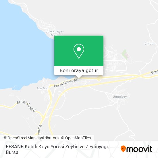 EFSANE Katırlı Köyü Yöresi Zeytin ve Zeytinyağı harita