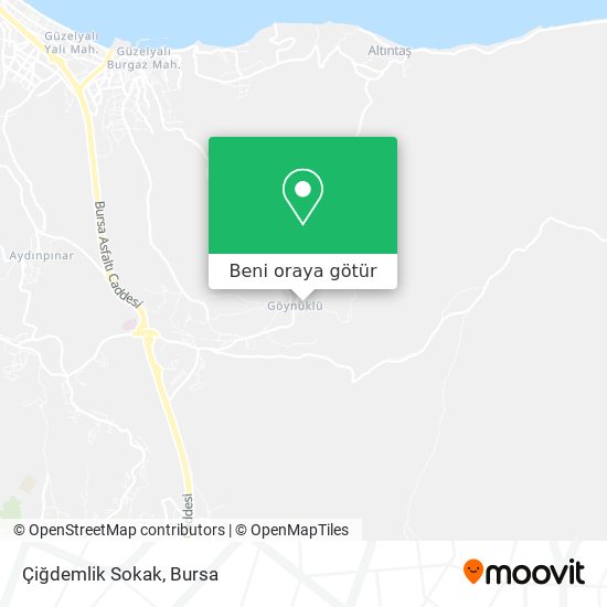 Çiğdemlik Sokak harita