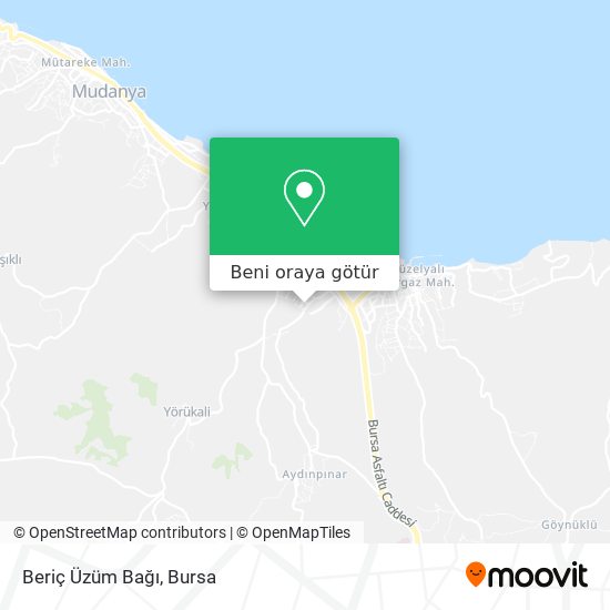 Beriç Üzüm Bağı harita