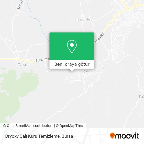 Dryoxy Çalı Kuru Temizleme harita