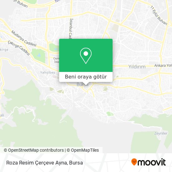 Roza Resim Çerçeve Ayna harita