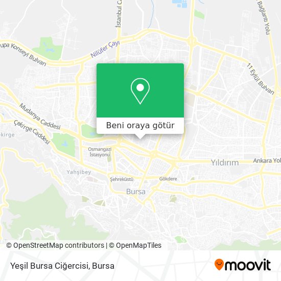 Yeşil Bursa Ciğercisi harita