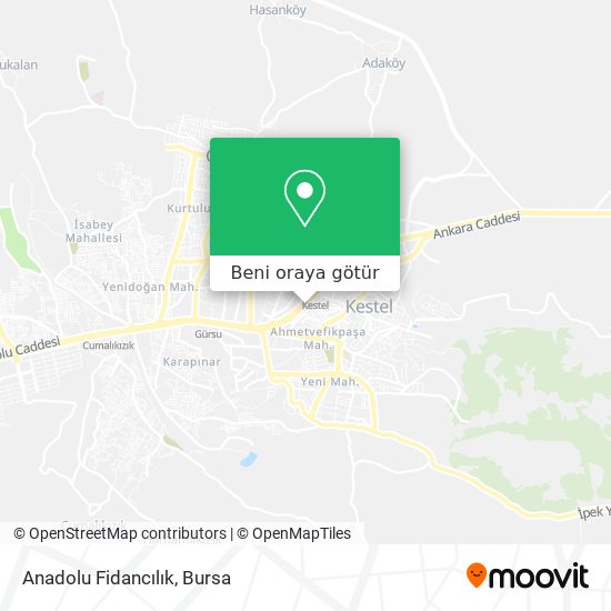 Anadolu Fidancılık harita