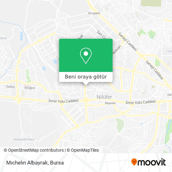 Mıchelın Albayrak harita