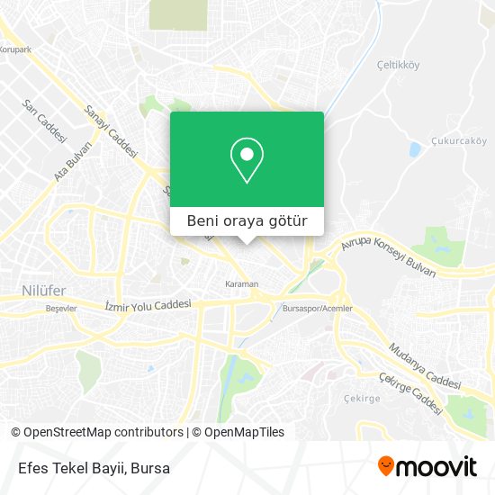 Efes Tekel Bayii harita