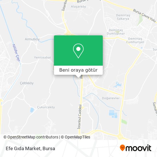 Efe Gıda Market harita