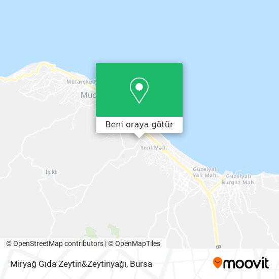 Miryağ Gıda Zeytin&Zeytinyağı harita