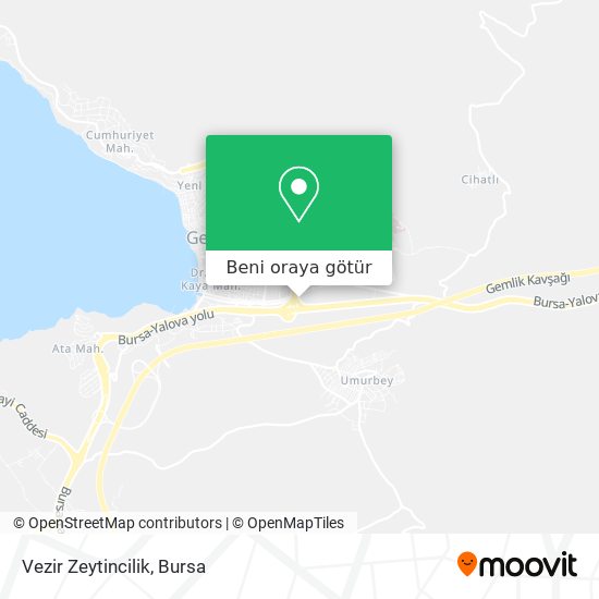 Vezir Zeytincilik harita