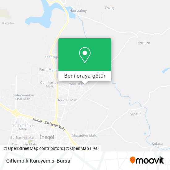 Cıtlembık Kuruyemıs harita