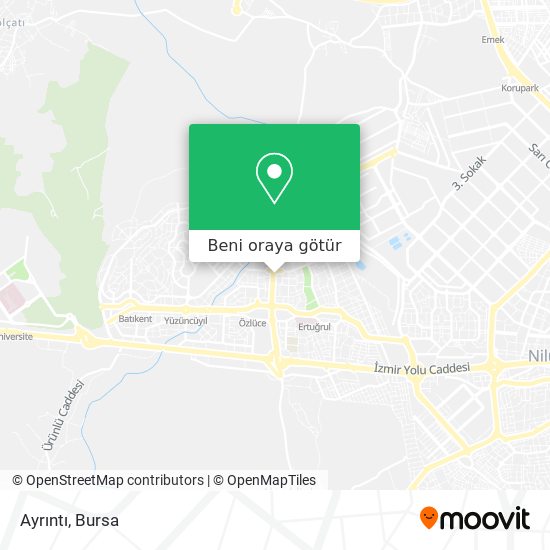Ayrıntı harita