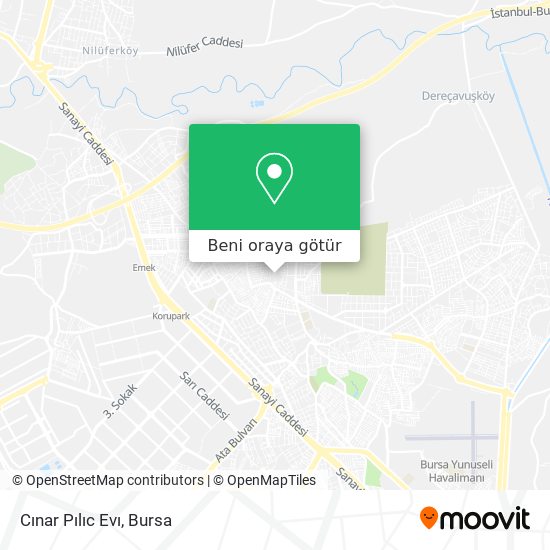 Cınar Pılıc Evı harita