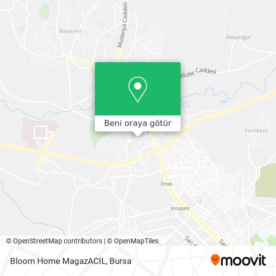Bloom Home MagazACIL harita