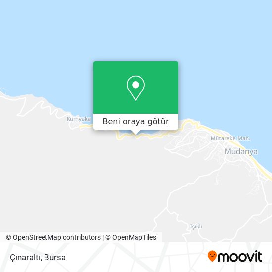 Çınaraltı harita