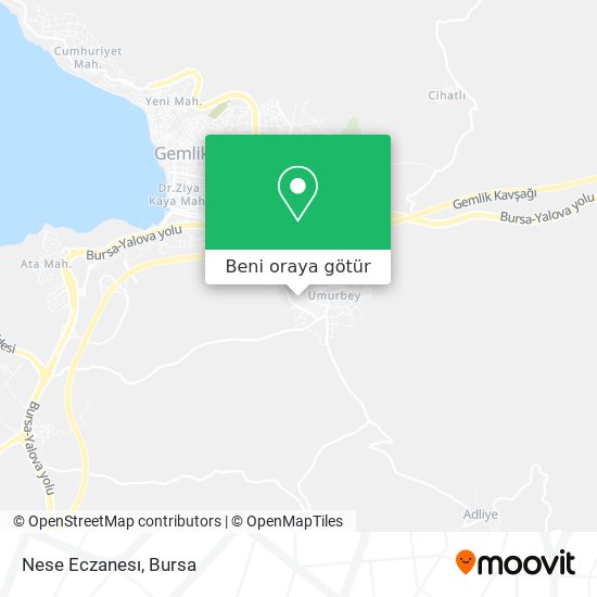 Nese Eczanesı harita