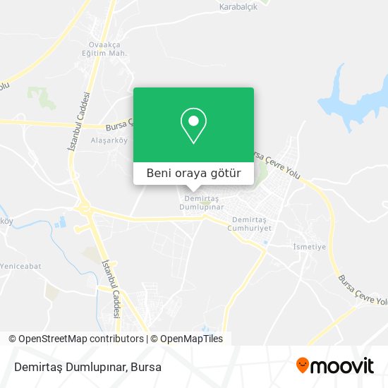 Demirtaş Dumlupınar harita