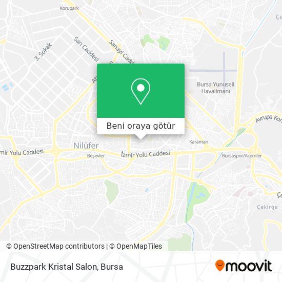 Buzzpark Kristal Salon harita