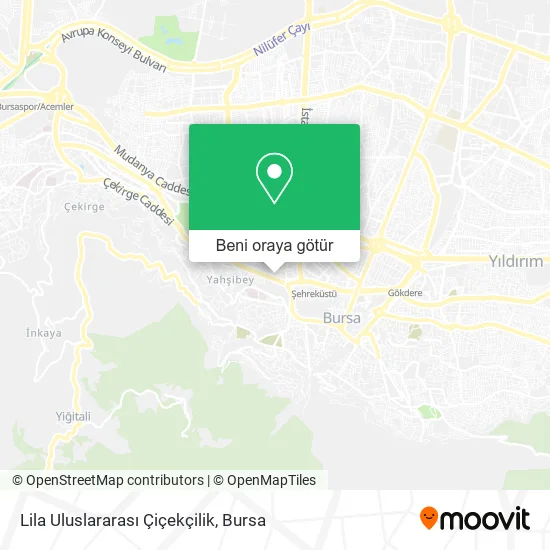 Lila Uluslararası Çiçekçilik harita