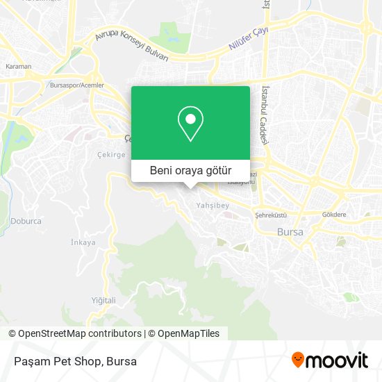 Paşam Pet Shop harita