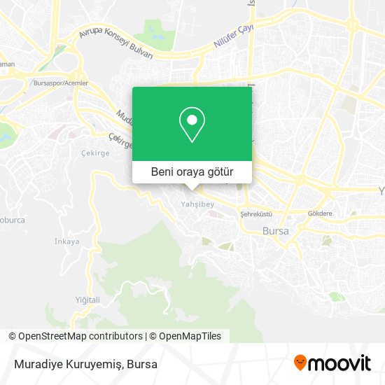 Muradiye Kuruyemiş harita