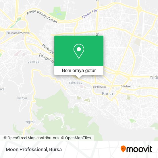 Moon Professional harita