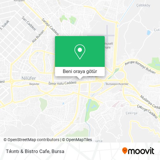 Tıkıntı & Bistro Cafe harita
