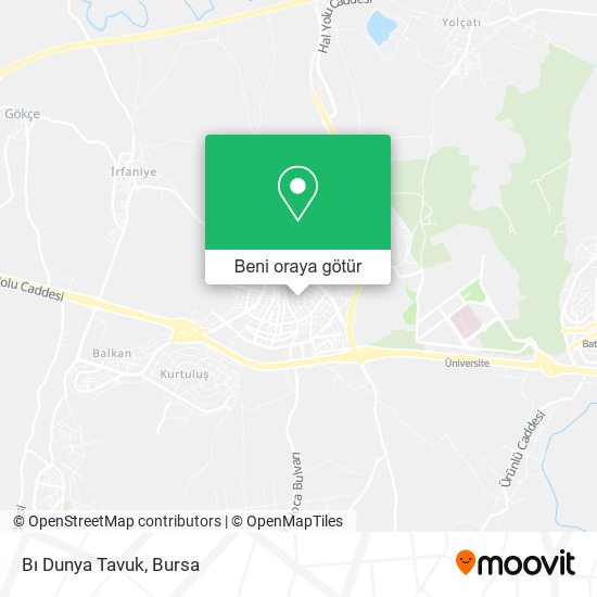 Bı Dunya Tavuk harita