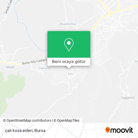 çalı koza evleri harita