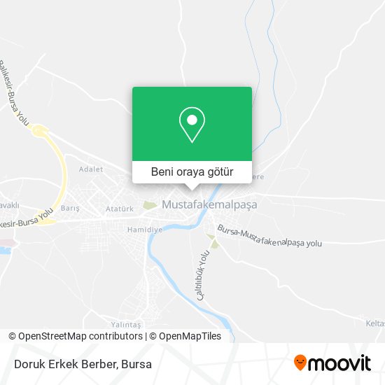 Doruk Erkek Berber harita