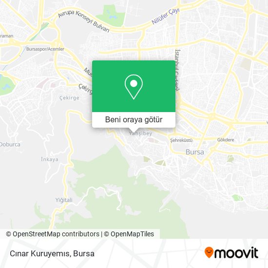 Cınar Kuruyemıs harita