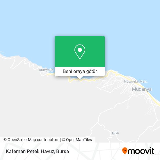 Kafeman Petek Havuz harita