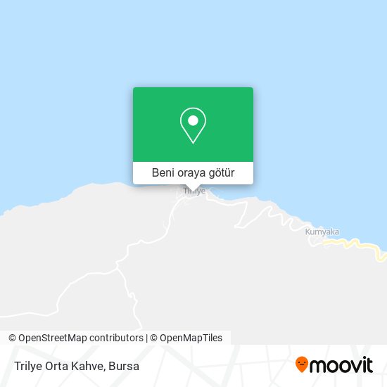 Trilye Orta Kahve harita