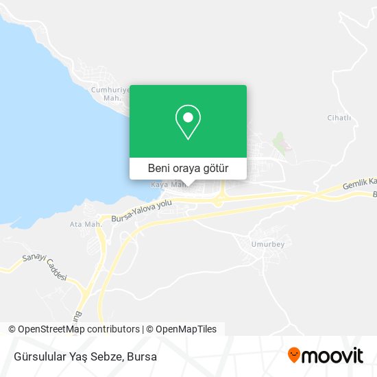 Gürsulular Yaş Sebze harita