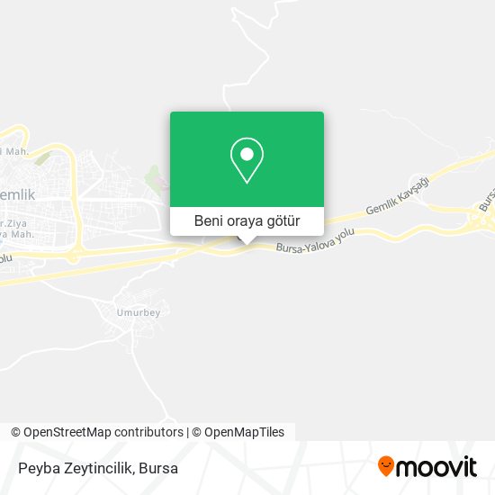 Peyba Zeytincilik harita