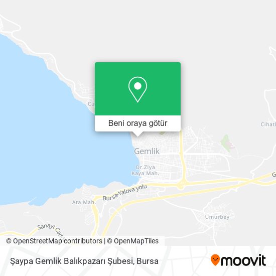 Şaypa Gemlik Balıkpazarı Şubesi harita