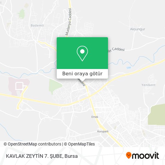 KAVLAK ZEYTİN  7. ŞUBE harita