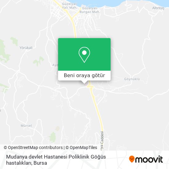Mudanya devlet Hastanesi Poliklinik Göğüs hastalıkları harita