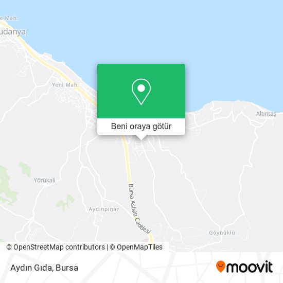 Aydın Gıda harita