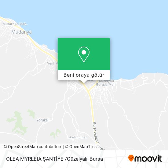 OLEA MYRLEIA ŞANTİYE /Güzelyalı harita