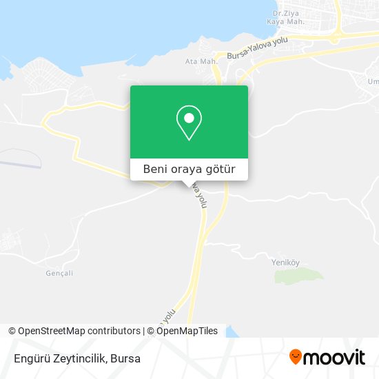 Engürü Zeytincilik harita