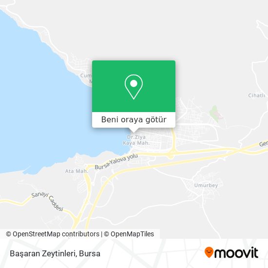 Başaran Zeytinleri harita