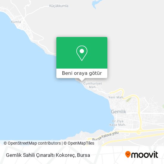 Gemlik Sahili Çınaraltı Kokoreç harita